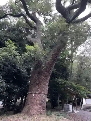 菱妻神社の自然