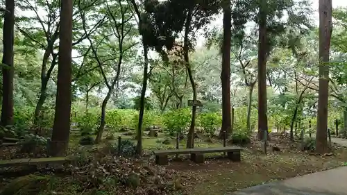 本土寺の庭園