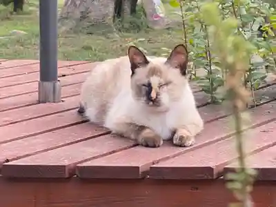 宣隆寺(三重県)