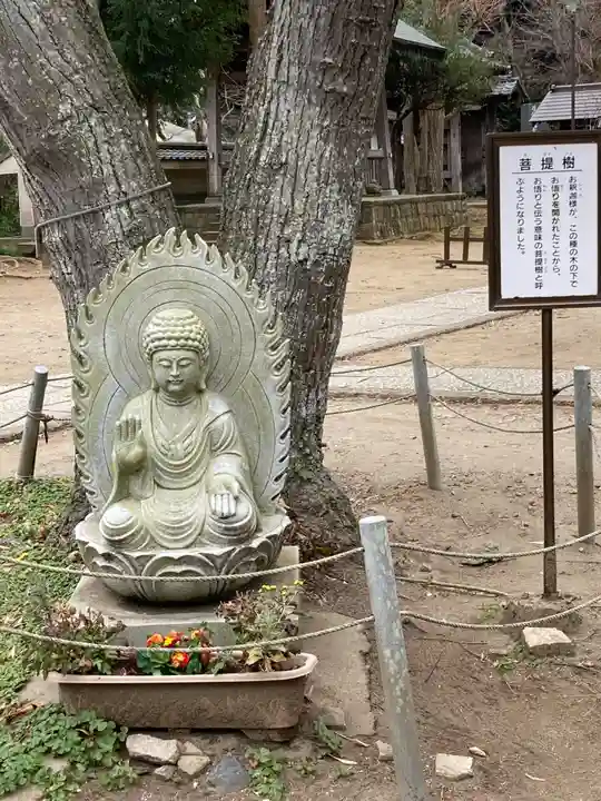 徳満寺(茨城県)