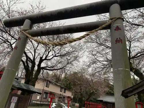 金井神社の鳥居