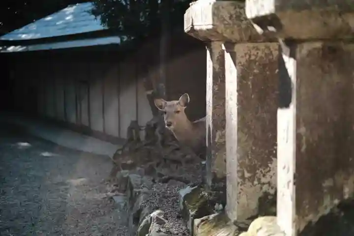 春日大社の{uncategorized: "未分類", other: "その他", undefined: "問題あり", building: "その他建物", grave: "お墓", sacred_gate: "鳥居", guardian: "狛犬", statue: "像", buddha: "仏像", history: "歴史", nature: "自然", garden: "庭園", animal: "動物", pagoda: "塔", temizu: "手水舎", mountain_gate: "山門・神門", sanctuary: "本殿・本堂", subordinate: "末社・摂社", art: "芸術", scenery: "景色", jizo: "地蔵", ema: "絵馬", goshuin: "御朱印", omikuji: "おみくじ", items: "授与品その他", amulet: "お守り", goshuincho: "御朱印帳", eats: "食事", festival: "お祭り", votive_dance: "神楽", shichigosan: "七五三参", wedding: "結婚式", experience: "体験その他", initially: "初詣", around: "周辺", anti_infection: "感染症対策"}