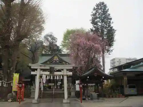 川越八幡宮(埼玉県)