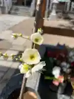 阿保神社(大阪府)