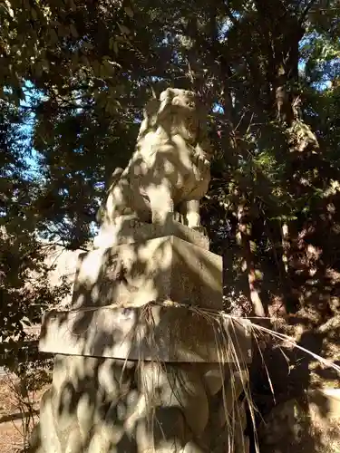 二宮神社の狛犬