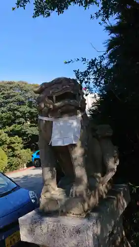 海神社の狛犬