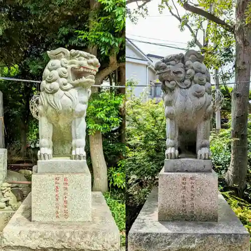 菊田神社の狛犬