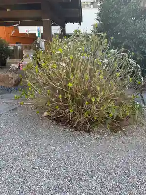 三輪神社(愛知県)