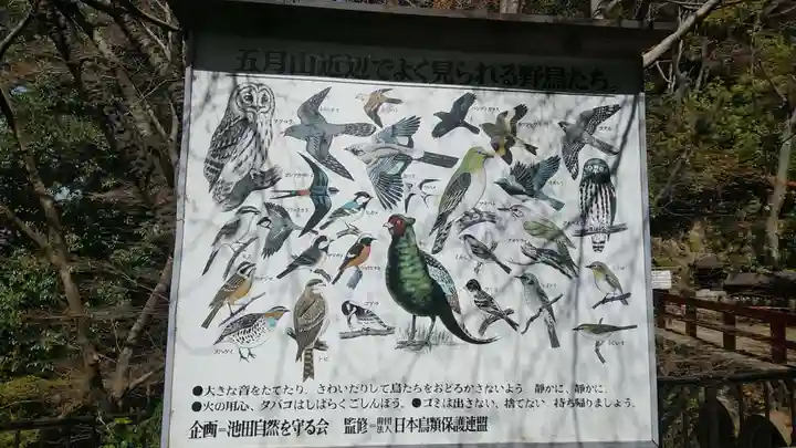 摂津池田愛宕神社の動物