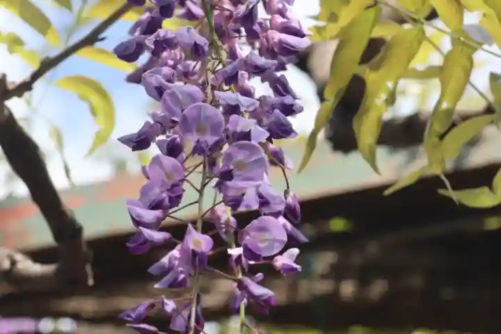 國領神社の{uncategorized: "未分類", other: "その他", undefined: "問題あり", building: "その他建物", grave: "お墓", sacred_gate: "鳥居", guardian: "狛犬", statue: "像", buddha: "仏像", history: "歴史", nature: "自然", garden: "庭園", animal: "動物", pagoda: "塔", temizu: "手水舎", mountain_gate: "山門・神門", sanctuary: "本殿・本堂", subordinate: "末社・摂社", art: "芸術", scenery: "景色", jizo: "地蔵", ema: "絵馬", goshuin: "御朱印", omikuji: "おみくじ", items: "授与品その他", amulet: "お守り", goshuincho: "御朱印帳", eats: "食事", festival: "お祭り", votive_dance: "神楽", shichigosan: "七五三参", wedding: "結婚式", experience: "体験その他", initially: "初詣", around: "周辺", anti_infection: "感染症対策"}