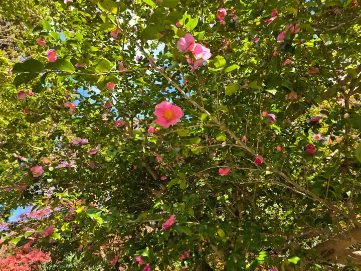 観心寺(大阪府)