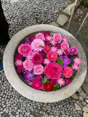 菅生神社(愛知県)