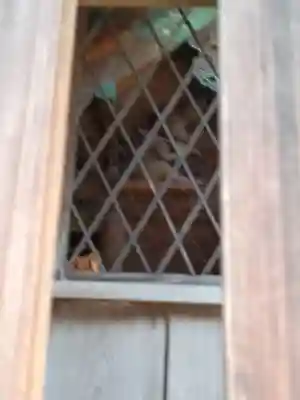 出雲路幸神社(京都府)