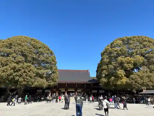 明治神宮(東京都)