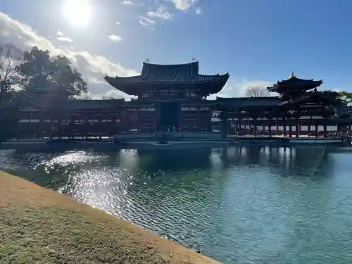 平等院の{uncategorized: "未分類", other: "その他", undefined: "問題あり", building: "その他建物", grave: "お墓", sacred_gate: "鳥居", guardian: "狛犬", statue: "像", buddha: "仏像", history: "歴史", nature: "自然", garden: "庭園", animal: "動物", pagoda: "塔", temizu: "手水舎", mountain_gate: "山門・神門", sanctuary: "本殿・本堂", subordinate: "末社・摂社", art: "芸術", scenery: "景色", jizo: "地蔵", ema: "絵馬", goshuin: "御朱印", omikuji: "おみくじ", items: "授与品その他", amulet: "お守り", goshuincho: "御朱印帳", eats: "食事", festival: "お祭り", votive_dance: "神楽", shichigosan: "七五三参", wedding: "結婚式", experience: "体験その他", initially: "初詣", around: "周辺", anti_infection: "感染症対策"}