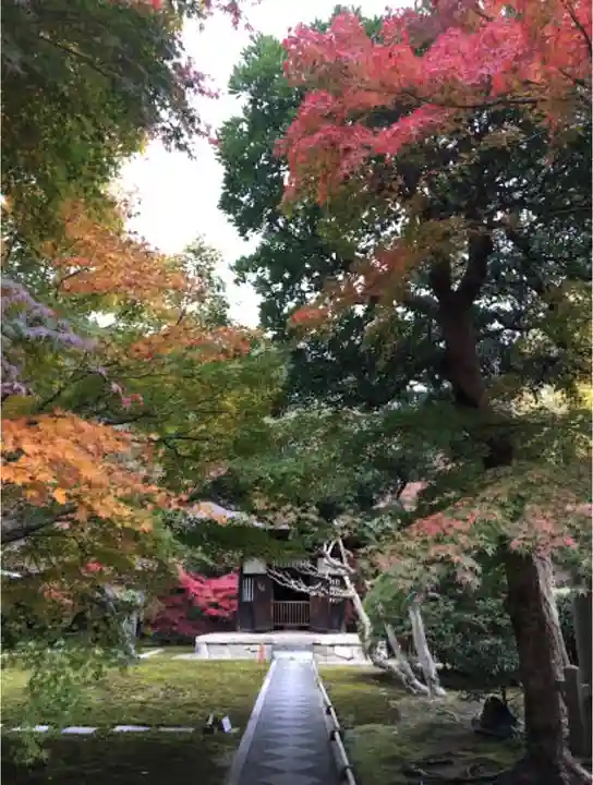 長壽寺(長寿寺)の自然