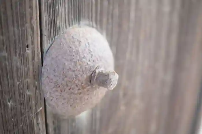 成就院の建物その他