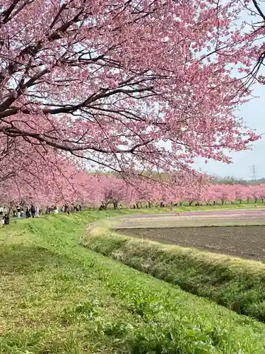 坂戸神社(埼玉県)