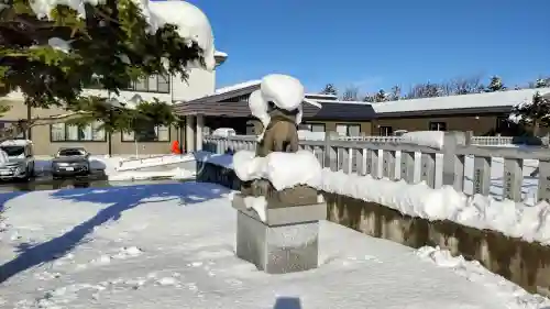 美瑛神社の狛犬