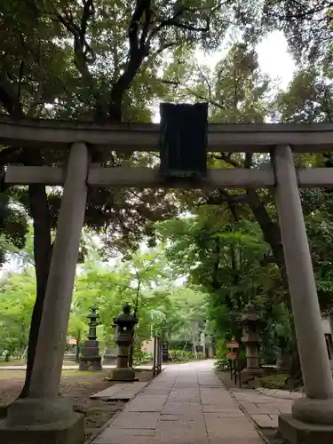 赤坂氷川神社の鳥居