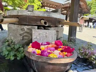 深大寺(東京都)
