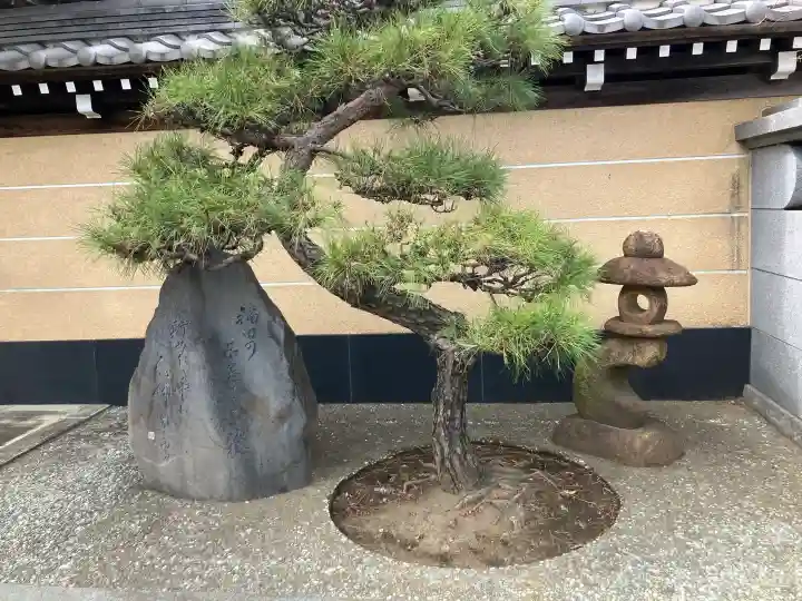 中田寺の{uncategorized: "未分類", other: "その他", undefined: "問題あり", building: "その他建物", grave: "お墓", sacred_gate: "鳥居", guardian: "狛犬", statue: "像", buddha: "仏像", history: "歴史", nature: "自然", garden: "庭園", animal: "動物", pagoda: "塔", temizu: "手水舎", mountain_gate: "山門・神門", sanctuary: "本殿・本堂", subordinate: "末社・摂社", art: "芸術", scenery: "景色", jizo: "地蔵", ema: "絵馬", goshuin: "御朱印", omikuji: "おみくじ", items: "授与品その他", amulet: "お守り", goshuincho: "御朱印帳", eats: "食事", festival: "お祭り", votive_dance: "神楽", shichigosan: "七五三参", wedding: "結婚式", experience: "体験その他", initially: "初詣", around: "周辺", anti_infection: "感染症対策"}