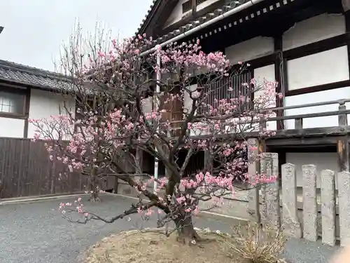 総持寺(大阪府)