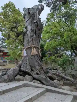 住吉大社(大阪府)