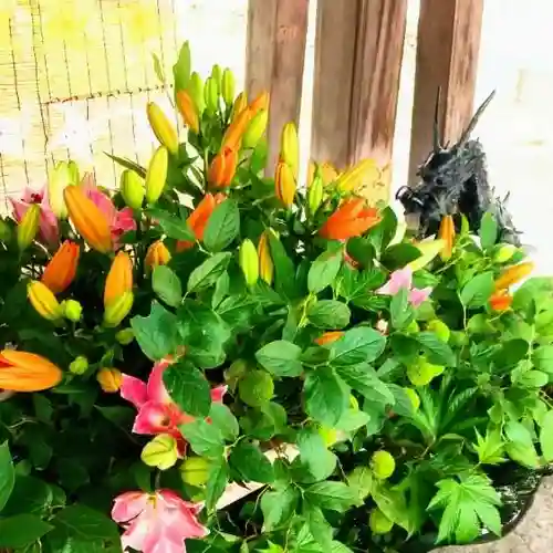 彌彦神社　(伊夜日子神社)の手水舎