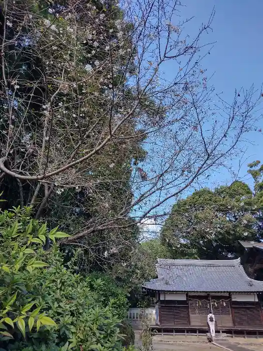 畑山神社の本殿