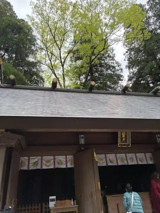 天岩戸神社(宮崎県)
