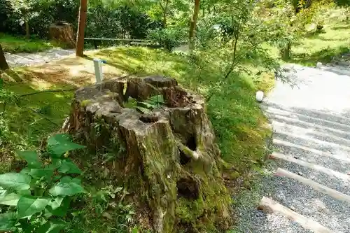 高台寺（高台寿聖禅寺・高臺寺）の庭園