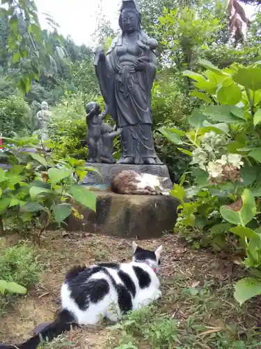 御誕生寺（猫寺）の仏像