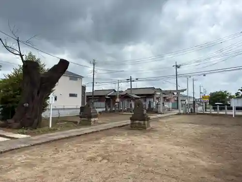 堤台八幡神社(千葉県)