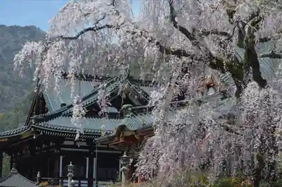 久遠寺(山梨県)