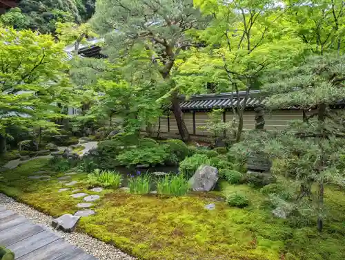 禅林寺（永観堂）(京都府)