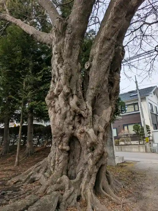 湯倉神社の{uncategorized: "未分類", other: "その他", undefined: "問題あり", building: "その他建物", grave: "お墓", sacred_gate: "鳥居", guardian: "狛犬", statue: "像", buddha: "仏像", history: "歴史", nature: "自然", garden: "庭園", animal: "動物", pagoda: "塔", temizu: "手水舎", mountain_gate: "山門・神門", sanctuary: "本殿・本堂", subordinate: "末社・摂社", art: "芸術", scenery: "景色", jizo: "地蔵", ema: "絵馬", goshuin: "御朱印", omikuji: "おみくじ", items: "授与品その他", amulet: "お守り", goshuincho: "御朱印帳", eats: "食事", festival: "お祭り", votive_dance: "神楽", shichigosan: "七五三参", wedding: "結婚式", experience: "体験その他", initially: "初詣", around: "周辺", anti_infection: "感染症対策"}