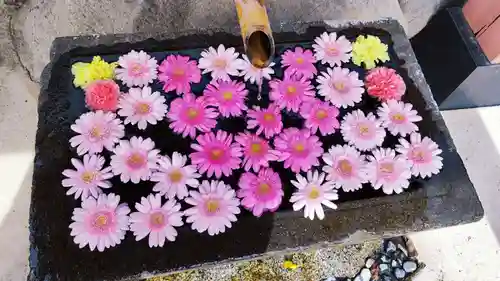 差出磯大嶽山神社 仕事と健康と厄よけの神さまの手水舎