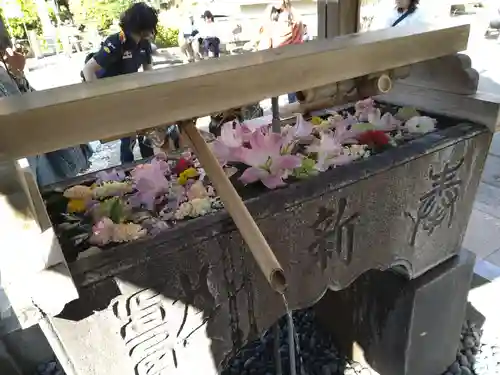 鳩森八幡神社の手水舎
