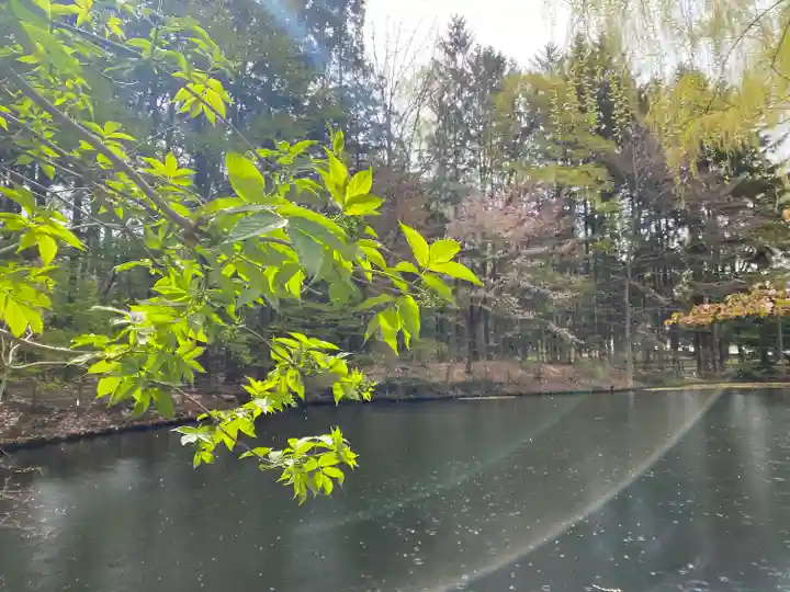 北海道神宮の庭園