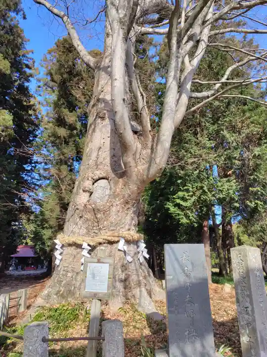 智賀都神社(栃木県)