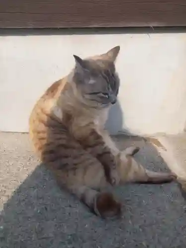 南洲神社(鹿児島県)