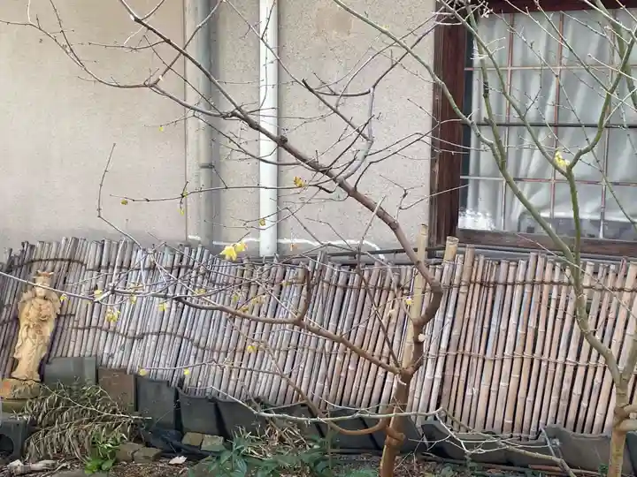 遠照山 光明寺(尼崎大仏)(兵庫県)