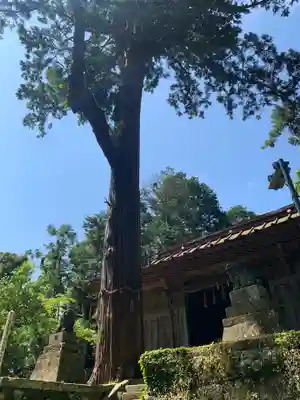 手力雄神社の本殿・本堂
