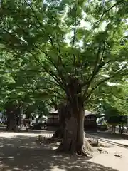 美和神社(長野県)