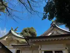 天沼八幡神社(東京都)