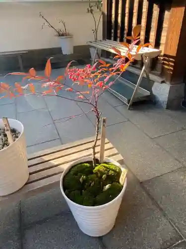 妙蓮寺(神奈川県)