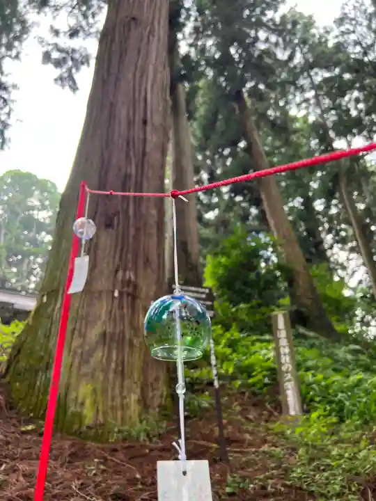 大宮温泉神社(栃木県)