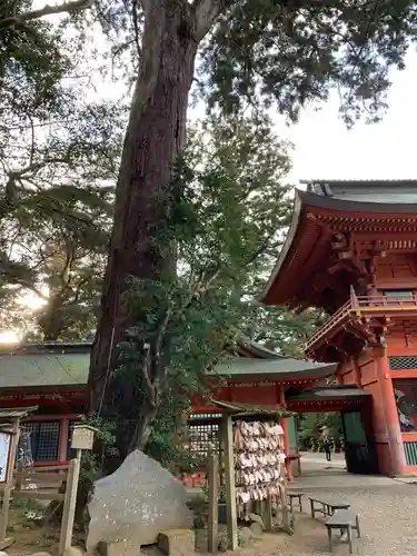 鹿島神宮のその他建物