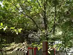 素盞嗚神社(兵庫県)